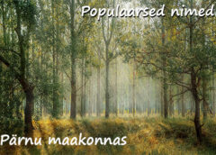 Populaarseimad nimed Pärnu maakonnas