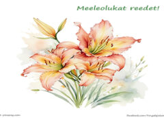 Meeleolukat reedet: 22.11.2024