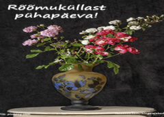 Rõõmuküllast pühapäeva: 24.11.2024